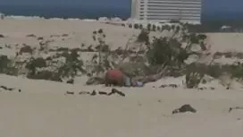 時間を取ると、若い友人あなたの息子をだま ...