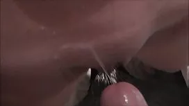 二つのアーチでは、ブロンドは首都を持って ...