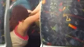 英雄的な報酬に植えられたロバ 女性 向け ...