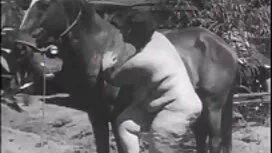 彼女は会って、自然の中で性交に行ってきま ...