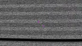 お気に入りのボールP1で遊んだ 女性 向 ...